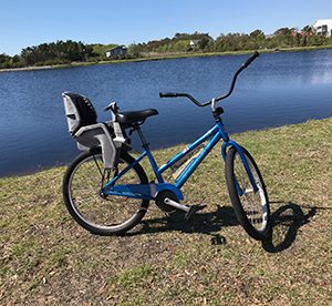 beach cruiser bike with child seat