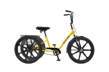 3 wheel bikes for special needs